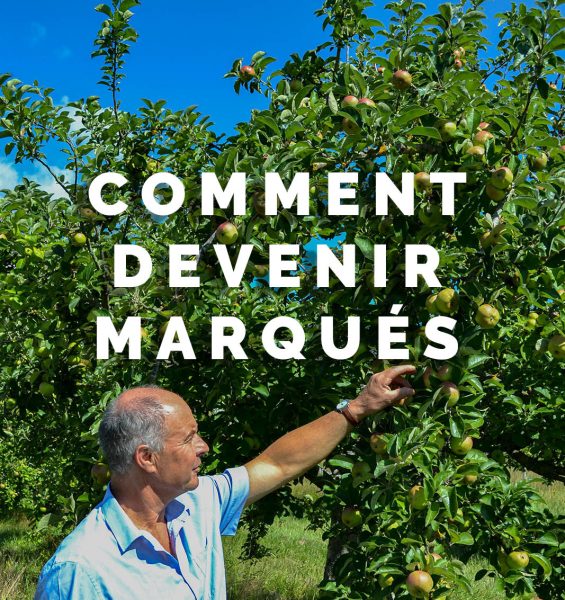 Comment devenir marqué « Valeurs Parc naturel régional » de la Forêt d&rsquo;Orient