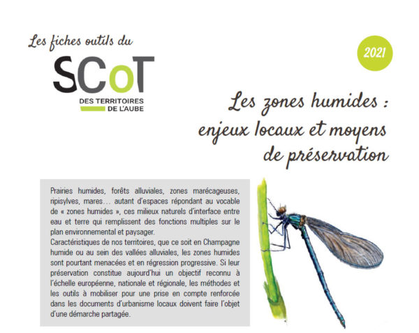 Fiche-outil « Les zones humides : enjeux locaux et moyens de préservation »