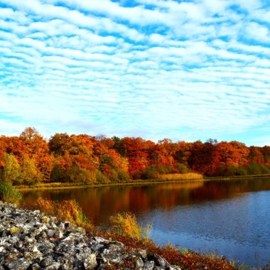 Cet automne, ressourcez-vous au Parc naturel régional de la Forêt d’Orient – Septembre 2021