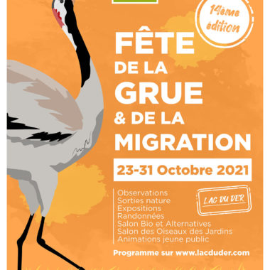 Fête de la grue et de la migration, ça commence bientôt !