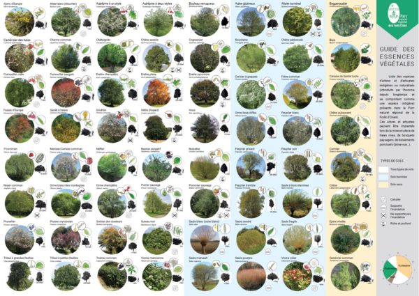 Guides des essences végétales