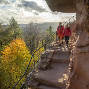 Une nouvelle plateforme pour découvrir les 6 Parcs naturels régionaux du Grand Est