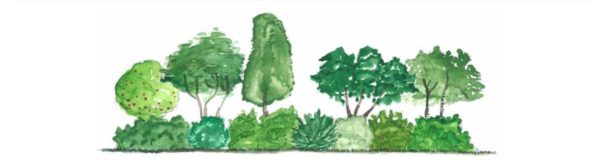 Haies : Guide de plantation et d&rsquo;entretien