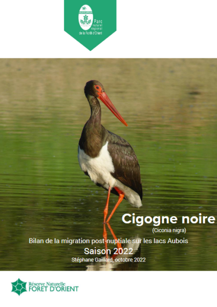 Bilan de la migration de la cigogne noire sur les lacs aubois – Saison 2022