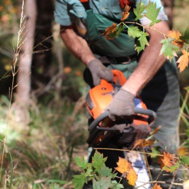 Formation au bûcheronnage pour les affouagistes