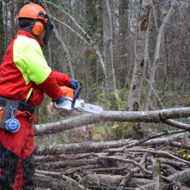 Nouvelle formation gratuite au bûcheronnage ! Dienville, 4 février 2023