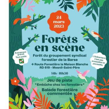 Journée Internationale des Forêts : Jeu de piste gratuit et balade forestière commentée !