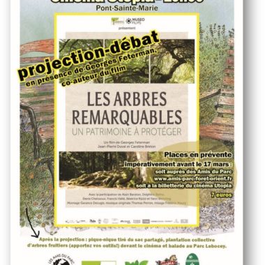 Projection-débat « Les arbres remarquables, un patrimoine à protéger »