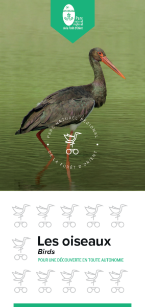 Observer les oiseaux au PNR de la Forêt d’Orient – 2022