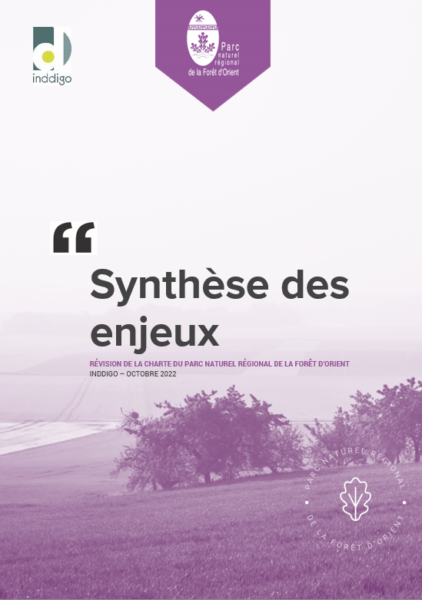 Synthèse des enjeux