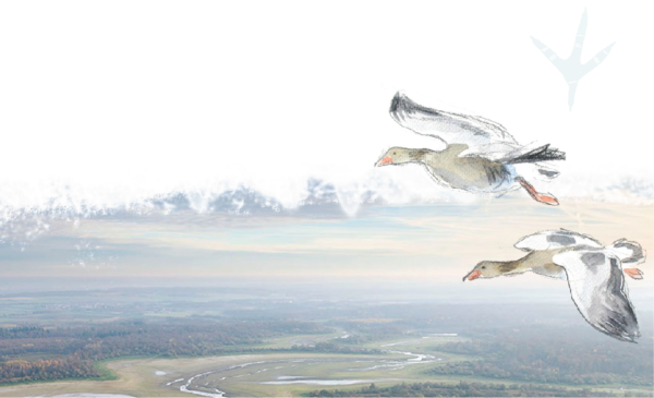 Un(e) chargé(e) de mission Ramsar