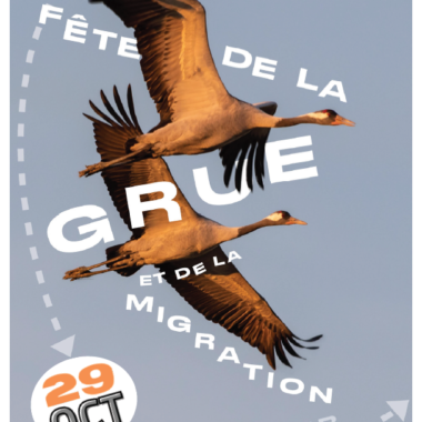 Fête de la Grue et de la migration 2023