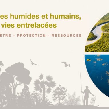 Journée mondiale des zones humides 2024 : « Les zones humides, sources de bien-être humain »