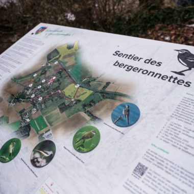 Inauguration du sentier des Bergeronnettes à Courteranges