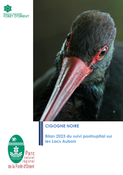 Cigogne noire – Bilan 2023 du suivi postnuptial sur les lacs aubois