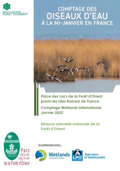 Extrait du comptage Wetlands International 2023 – Ramsar et RNNFO