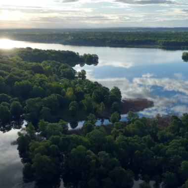 L’intérêt écologique des lacs de la Forêt d’Orient et de la zone Ramsar « Etangs de la Champagne humide » : explications en vidéo !