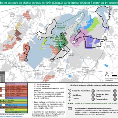 Carte des périodes et secteurs de chasse 2024-2025 en Forêt d&rsquo;Orient