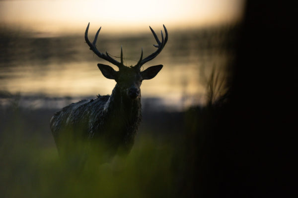 Un(e) conservateur(trice) des Réserves naturelles du Parc