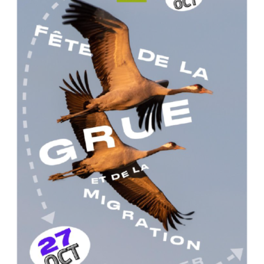 Fête de la grue et de la migration : 19 au 27 octobre 2024