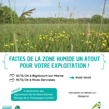 Formation gratuite « Faire de la zone humide un atout pour son exploitation » – 10 et 19 décembre 2024