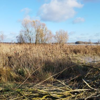 Chantier participatif pour le maintien de la biodiversité sur le site « Prairies et Terres Rappelle Coeurre »