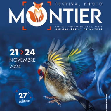 Festival international de Photo Animalière et de Nature de Montier-en-Der – 21 au 24 novembre 2024