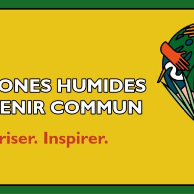 Journée mondiale des zones humides 2025 : un mois d’événements en perspective !