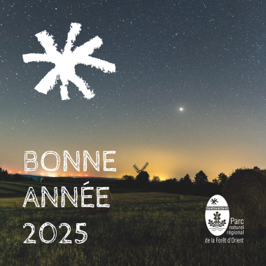 Meilleurs vœux 2025 !