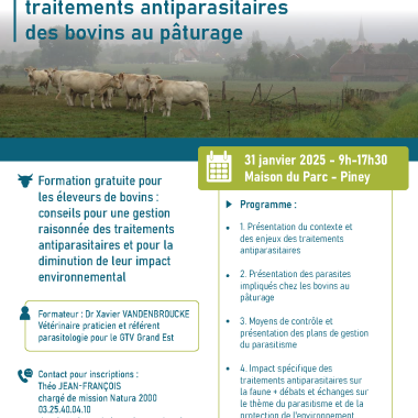 Formation : gestion raisonnée des traitements antiparasitaires au pâturage