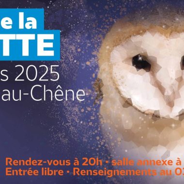 Nuits de la Chouette 2025 : rendez-vous à La Villeneuve-au-Chêne le 8 mars !