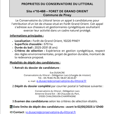 Appel à candidature pour la régulation cynégétique – Forêt de Grand Orient, Piney