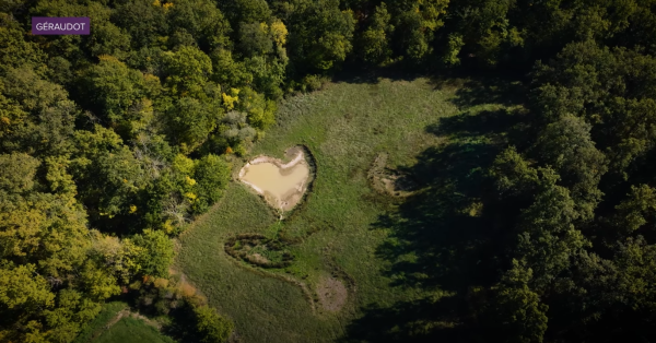Les zones humides du Parc naturel régional de la Forêt d&rsquo;Orient