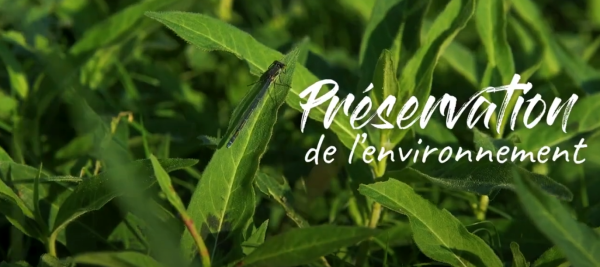 La Trame Verte et Bleue, c&rsquo;est quoi ?