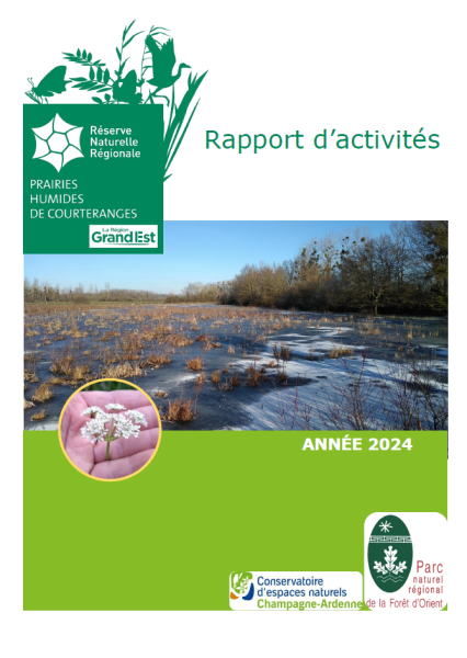 Rapport d’activités 2024 de la Réserve naturelle régionale des prairies humides de Courteranges