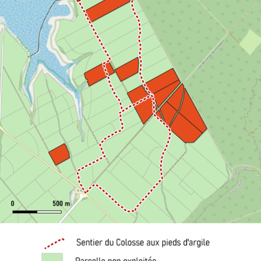 Travaux forestiers : fermeture du sentier du Colosse aux pieds d’argile en semaine jusqu’à la mi-octobre 2025