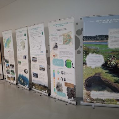 Exposer la nature en milieu hospitalier : une alliée contre le stress et les pathologies liées !