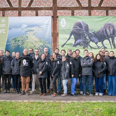 Bonnes fêtes de fin d&rsquo;année !