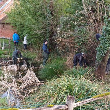 Entretien de deux mares de Mesnil-Saint-Père en partenariat avec le lycée agricole de Sainte-Maure
