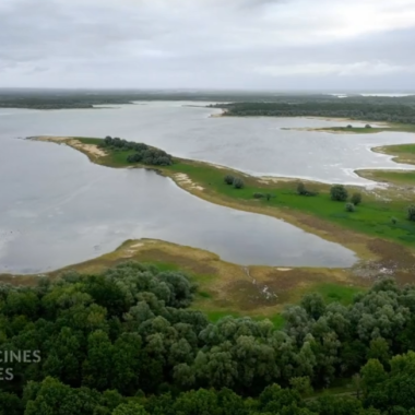 Des Racines et Des Ailes au bord du lac d’Orient
