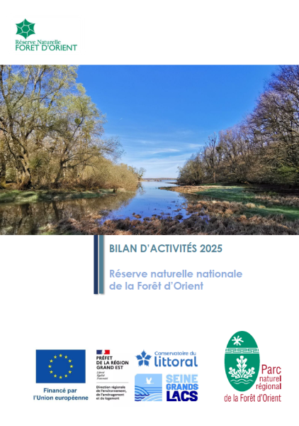 Bilan d&rsquo;activités 2025 de la Réserve Naturelle Nationale de la Forêt d&rsquo;Orient
