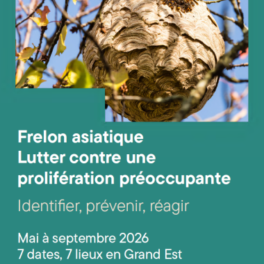 Formation CNFPT : Lutter contre le frelon asiatique