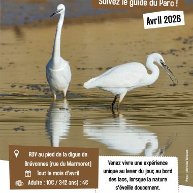 Début des sorties guidées pour la saison 2026 !