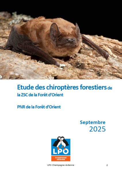 Étude des chiroptères forestiers de la ZSC de la Forêt d’Orient – Septembre 2025