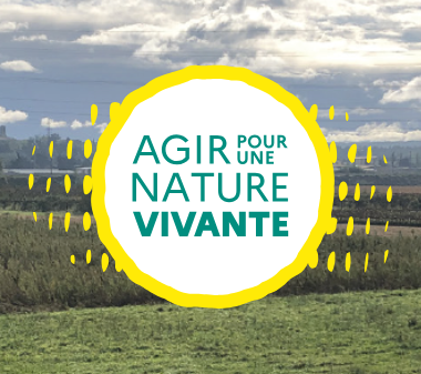Plan national agir pour restaurer la nature : faites vos propositions jusqu&rsquo;au 31 juillet 2026 !