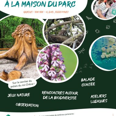 Fête de la Nature à la Maison du Parc : rendez-vous samedi 23 mai 2026 !