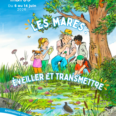 Fête des mares 2026 : deux animations à la rencontre de leurs habitants