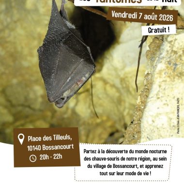 « A la rencontre des fantômes de la nuit ! » – 7 août 2026, Bossancourt