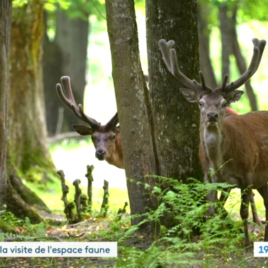 7 minutes avec… le guide du Parc et le responsable de l’Espace Faune !