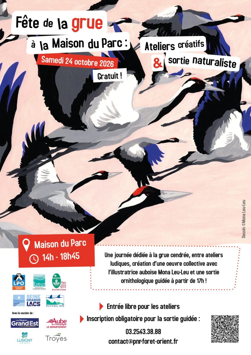 Visuel de Fête de la grue — ateliers et sortie naturaliste